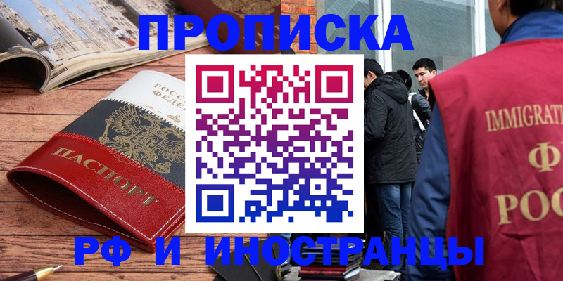 прописка в Шебекино
